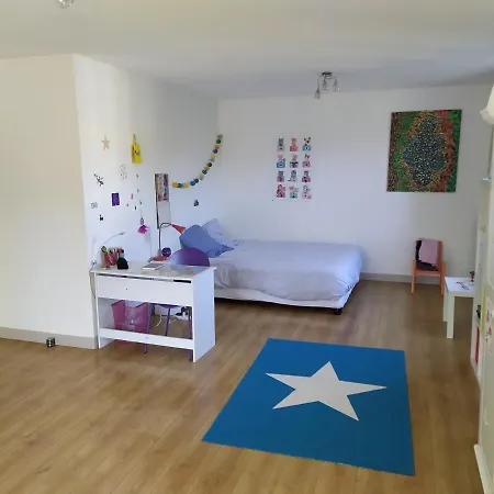 Maison Familiale Avec Belles Prestations * Balma